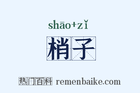 梢子是什么意思的图片